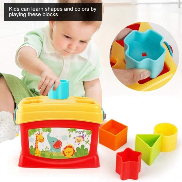 صندوق تعليمي 🎖️🎓