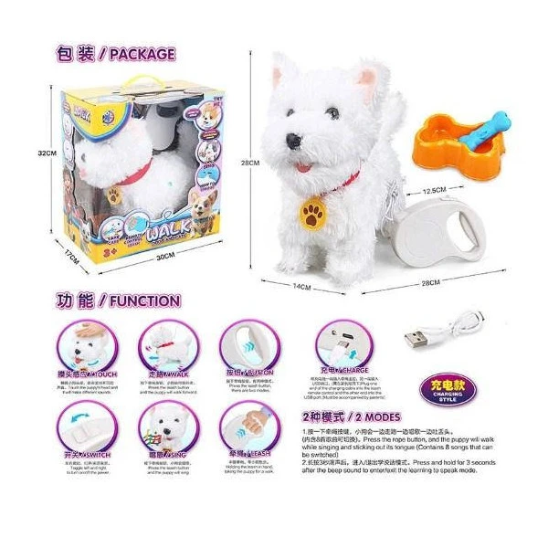 الكلب اللطيف الأبيض