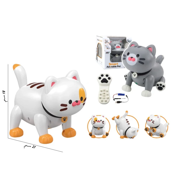 القطة التفاعلية